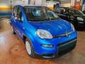 Fiat Panda 1.0 Hybrid 70cv Radio Bluetooth 36 Rate da 177,95 Blu/Azzurro - thumbnail 3