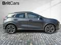 Ford Puma ST-Line X LED+Navi+Kamera+Winterpaket Gris - thumbnail 6