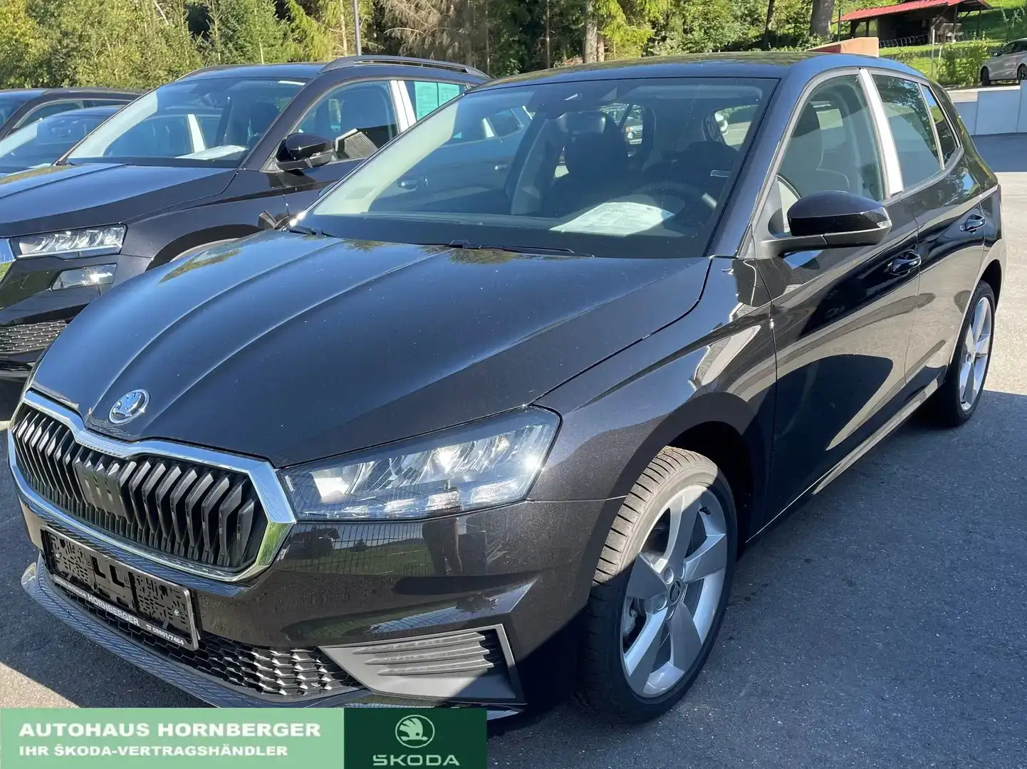 Skoda Fabia Ambition 1.0TSI 81kW *Klima/ SHZ/ LED/ Tempo Schwarz - 1