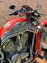 Harley-Davidson V-Rod Screamin Eagle Grigio - thumbnail 9