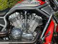 Harley-Davidson V-Rod Screamin Eagle Grey - thumbnail 7