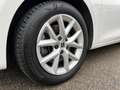 SEAT Leon SP Style 2,0 TDI | ACC/VOLL-LED Weiß - thumbnail 35