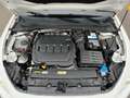 SEAT Leon SP Style 2,0 TDI | ACC/VOLL-LED Weiß - thumbnail 33