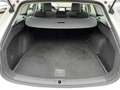 SEAT Leon SP Style 2,0 TDI | ACC/VOLL-LED Weiß - thumbnail 15