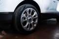 Ford EcoSport 1.5 ecoblue Titanium s&s 95cv my20.25 - thumbnail 14
