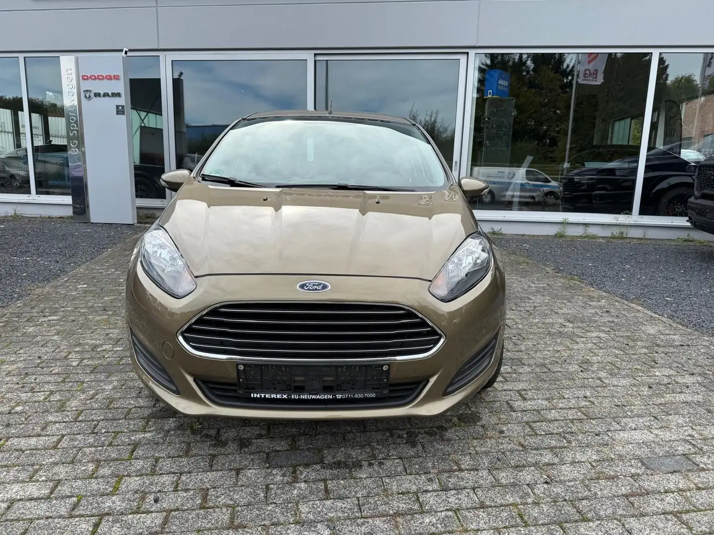 Ford Fiesta Trend Braun - 1