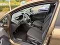 Ford Fiesta Trend Braun - thumbnail 14
