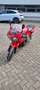 Triumph Daytona T 595 Rood - thumbnail 3