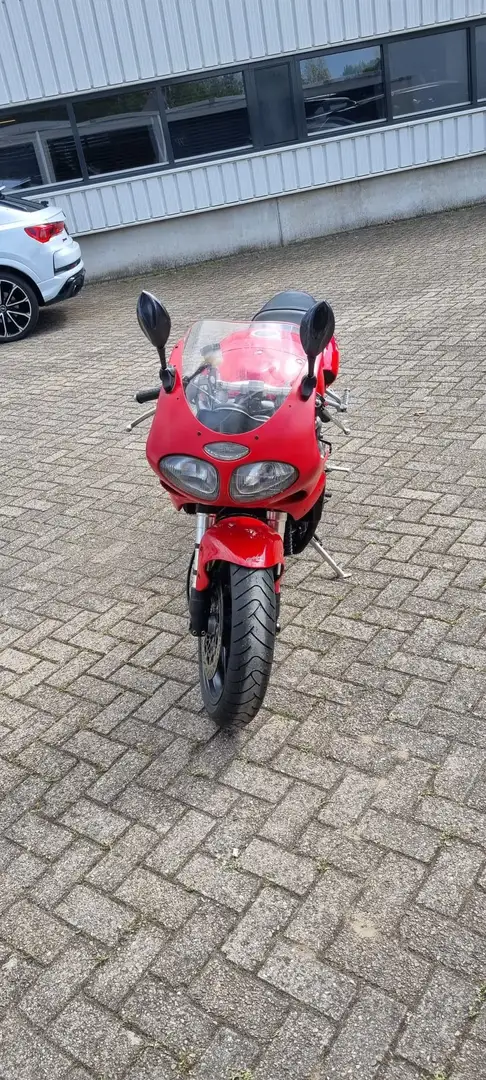 Triumph Daytona T 595 Rood - 2