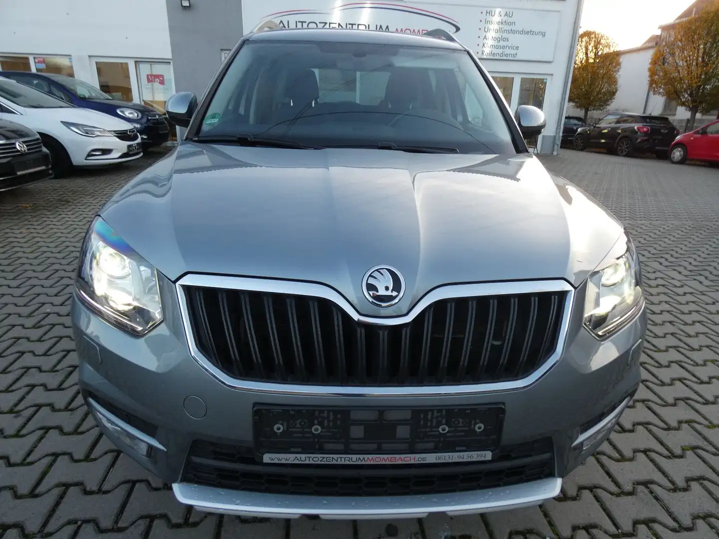 Skoda Yeti Joy Grau - 2