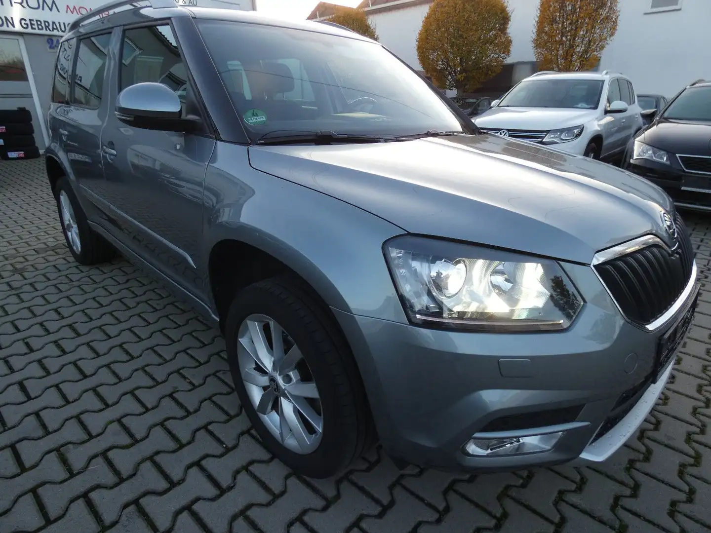 Skoda Yeti Joy Grau - 1