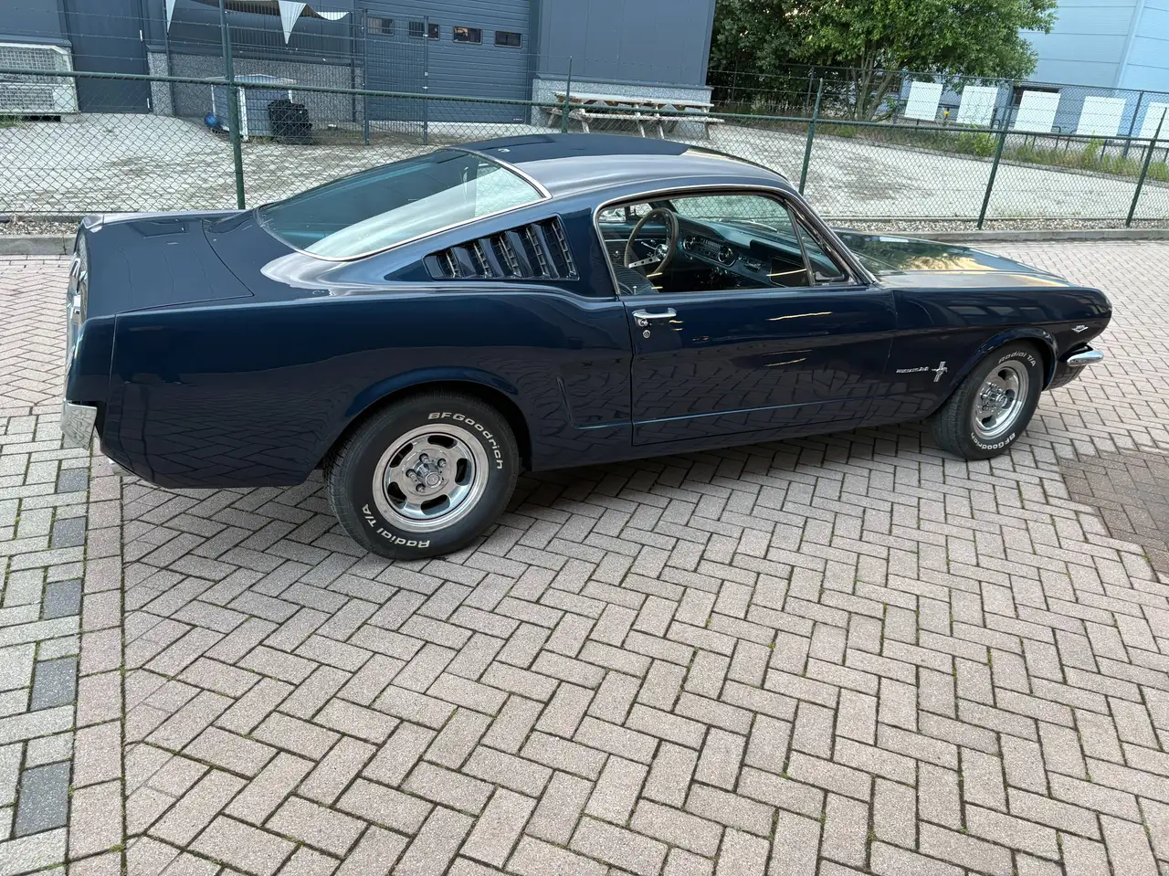 Ford Mustang Fastback V8 289 -NL Kenteken, foto 7