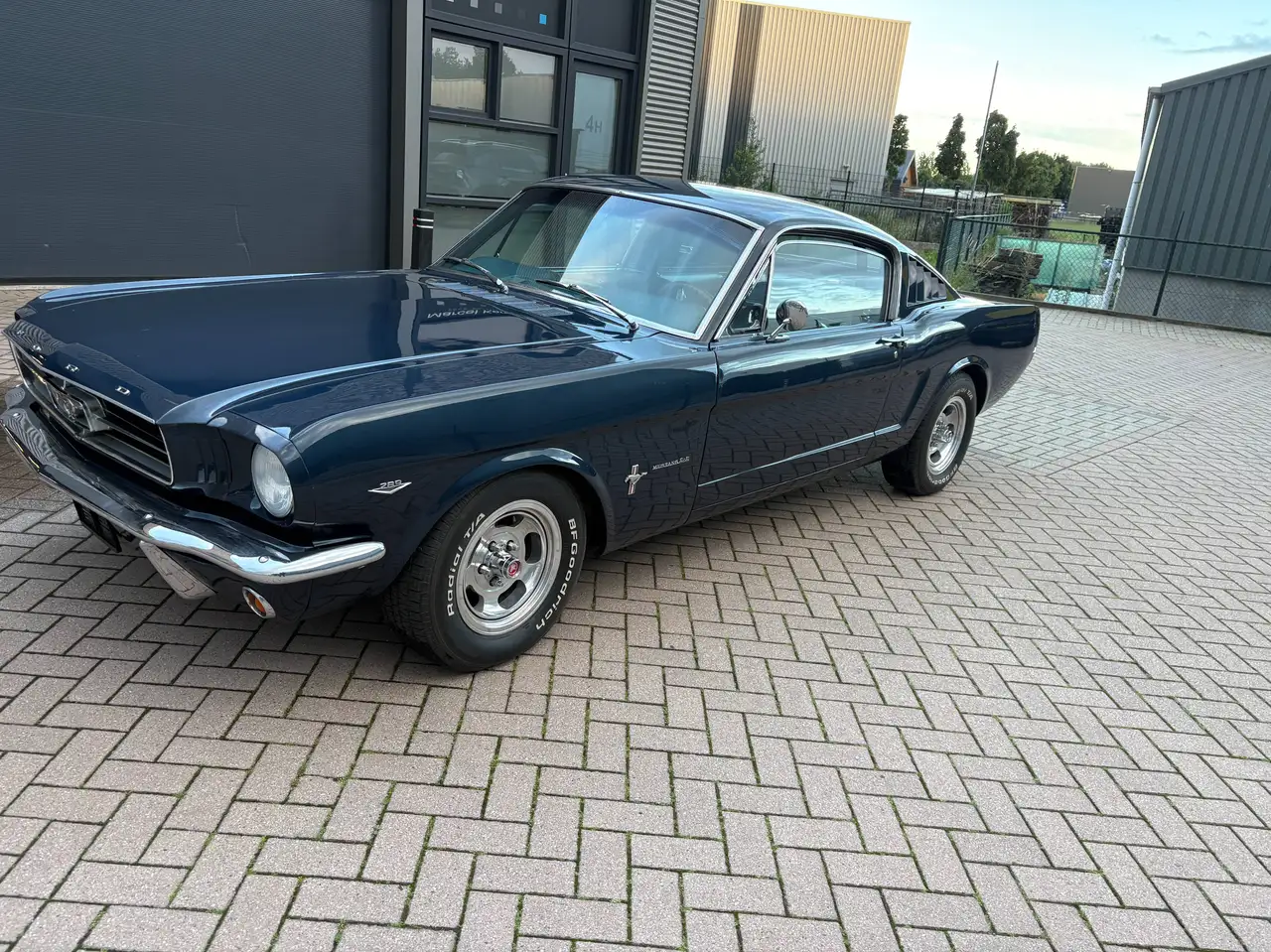 Ford Mustang Fastback V8 289 -NL Kenteken, foto 2