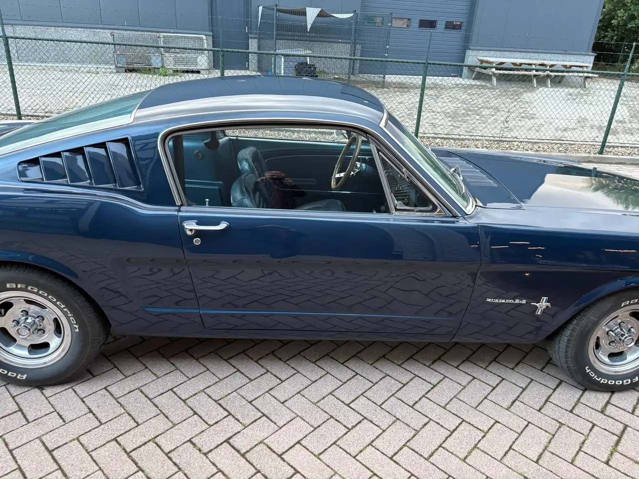 Ford Mustang Fastback V8 289 -NL Kenteken, foto 8
