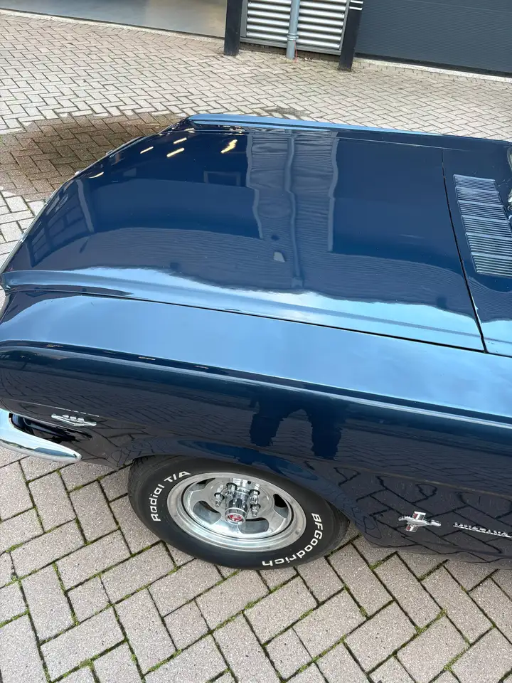 Ford Mustang Fastback V8 289 -NL Kenteken, foto 3