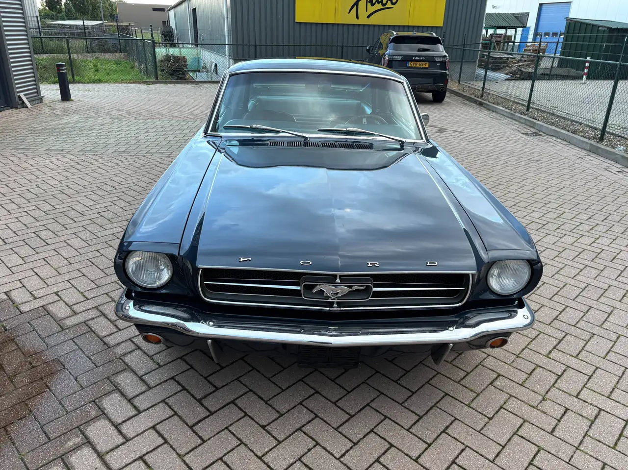 Ford Mustang Fastback V8 289 -NL Kenteken, foto 10