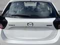 Mazda #PrimeLine #Sofortverfügbar Blanc - thumbnail 6