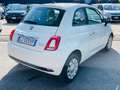 Fiat 500 500 1.0 hybrid Cult 70cv**PROMO SUMMER*PRONTA CONS Blanco - thumbnail 3