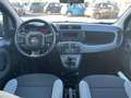Fiat Panda 1.0 Mild-Hybrid City Plus 69CV NEOPATENTATI Zwart - thumbnail 7