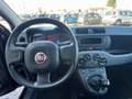 Fiat Panda 1.0 Mild-Hybrid City Plus 69CV NEOPATENTATI Zwart - thumbnail 4