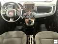 Fiat Panda 1.0 FireFly S&S Hybrid City Life Grigio - thumbnail 8