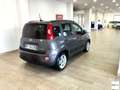 Fiat Panda 1.0 FireFly S&S Hybrid City Life Grigio - thumbnail 3