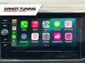 Volkswagen Polo Fun 1.0TSI DSG D-Cockpit SHZ LED PDC CAM Grau - thumbnail 15