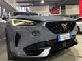 CUPRA Formentor 1.5 TSI DSG SCARICO ASSETTO GARANZIA CUPRA  IVA Сірий - thumbnail 9