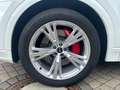 Audi Q8 55 TFSI e quattro s-line Leder Weiß - thumbnail 15