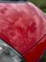 Fiat Punto 0.9 TwinAir Pop Roşu - thumbnail 4