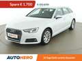 Audi A4 2.0 TDI Design ultra Aut. *NAVI*XENON*PDC*AHK* Blanc - thumbnail 1