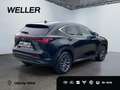 Lexus E-FOUR Business *360*Navi*LED*el Heck* Zwart - thumbnail 16