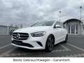 Mercedes-Benz B 200 d*Progressive*1.Hand*AHK*R-Kam*Navi*Abstan Weiß - thumbnail 3