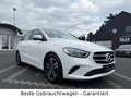 Mercedes-Benz B 200 d*Progressive*1.Hand*AHK*R-Kam*Navi*Abstan Weiß - thumbnail 9