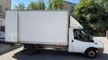 Ford Ford transit camion plate-forme /Chassis Білий - thumbnail 7