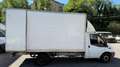 Ford Ford transit camion plate-forme /Chassis Білий - thumbnail 8