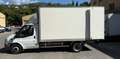 Ford Ford transit camion plate-forme /Chassis Білий - thumbnail 10