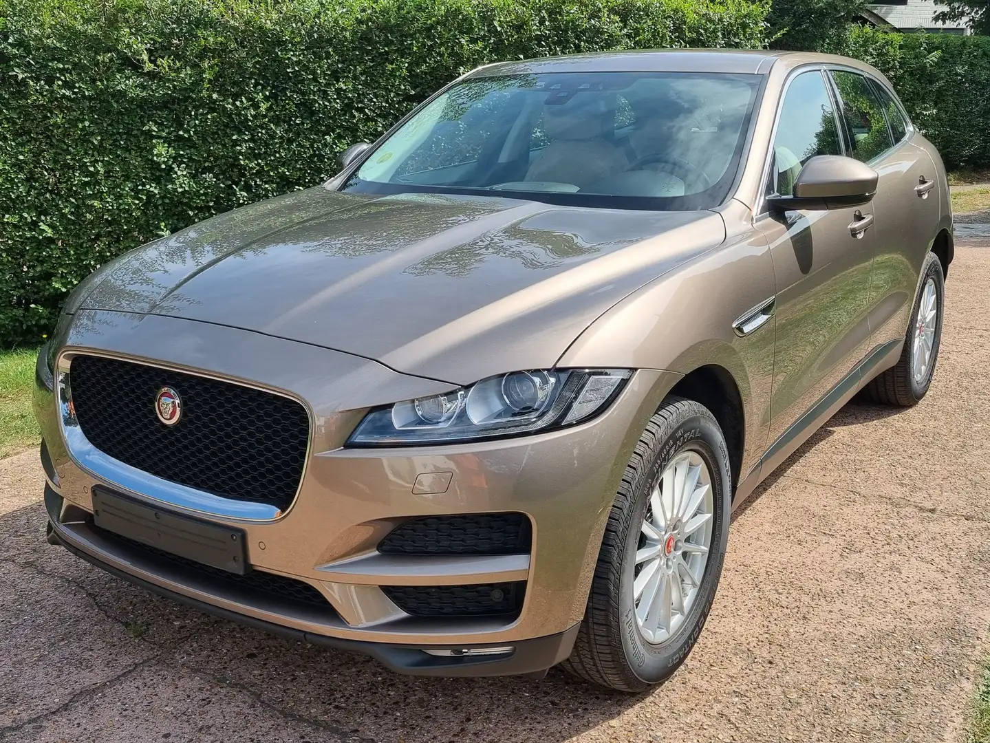 Jaguar F-Pace F-Pace 2.0 D Portfolio CT OK CARPASS+HISTORIQUE Bej - 1