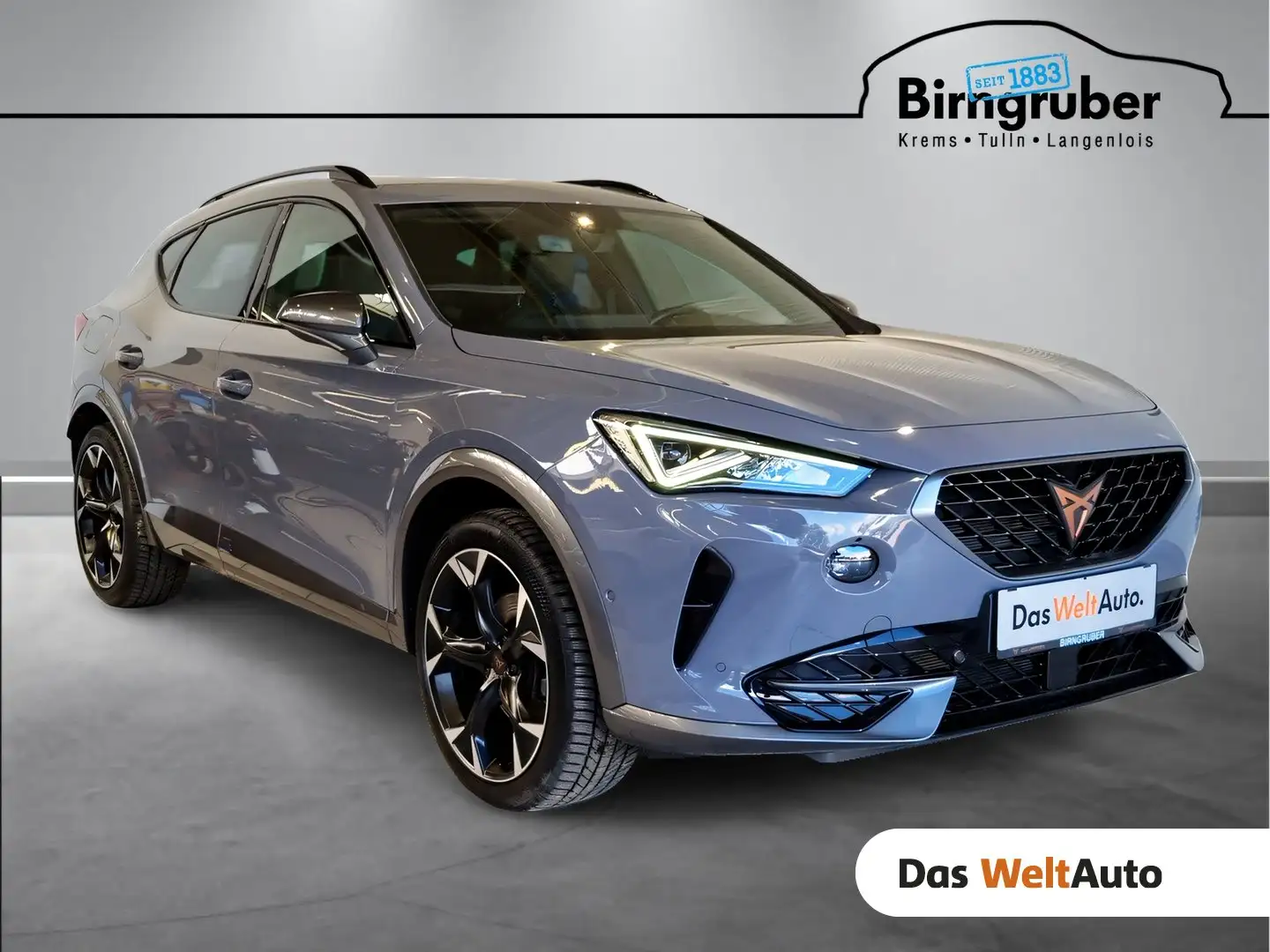 CUPRA Formentor 1.5 TSI 150 PS DSG ACT Grau - 1