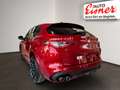 Alfa Romeo Stelvio QUADRIFOGLIO 2.9 V6 520 PS Sondermodell Roşu - thumbnail 12