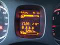 Fiat Panda Panda III 2021 1.0 firefly hybrid City Life s Bianco - thumbnail 11