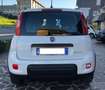 Fiat Panda Panda III 2021 1.0 firefly hybrid City Life s Bianco - thumbnail 5