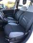 Fiat Panda Panda III 2021 1.0 firefly hybrid City Life s Bianco - thumbnail 8