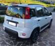Fiat Panda Panda III 2021 1.0 firefly hybrid City Life s Bianco - thumbnail 3