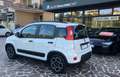 Fiat Panda Panda III 2021 1.0 firefly hybrid City Life s Bianco - thumbnail 4