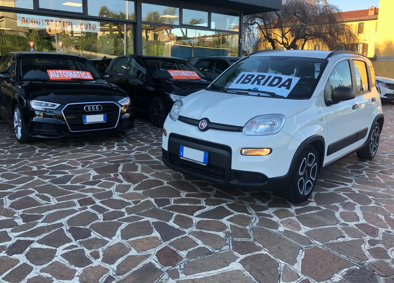 Fiat Panda Panda III 2021 1.0 firefly hybrid City Life s Bianco - 1
