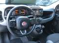Fiat Panda Panda III 2021 1.0 firefly hybrid City Life s Bianco - thumbnail 12