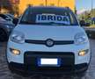 Fiat Panda Panda III 2021 1.0 firefly hybrid City Life s Bianco - thumbnail 6