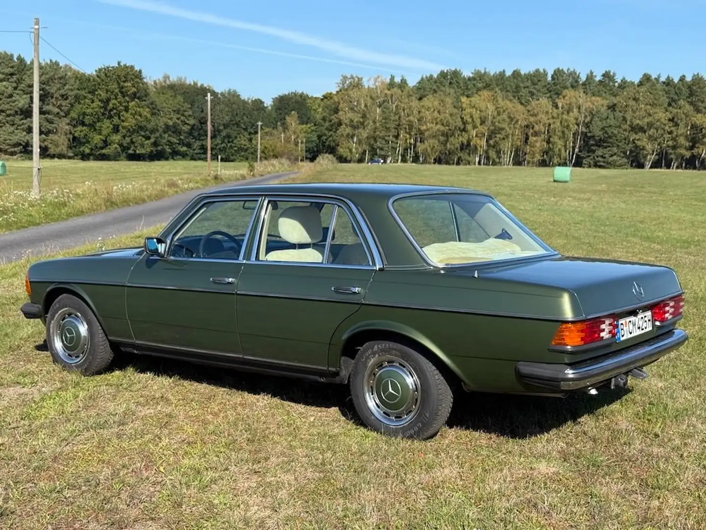 Mercedes-Benz 230 W123 230E - Automatik, Klima, Leder, ZV, Tempomat Vert - 2