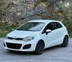 Kia Rio Rio 1.1 CRDi Lounge Blanc - thumbnail 1